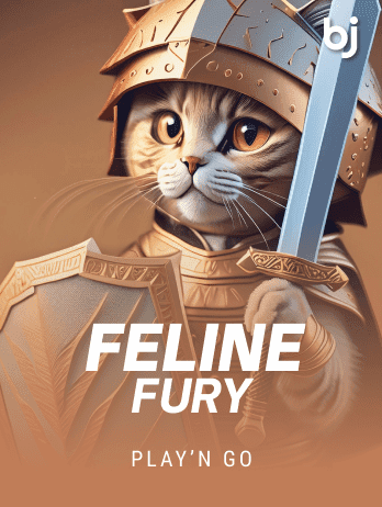 Feline Furypng screenshot
